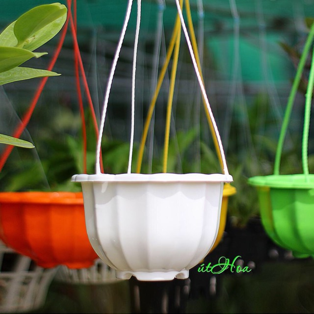 [Có sẵn] [Ảnh thật]  Chậu treo bí lớn đủ màu (kèm quai treo)