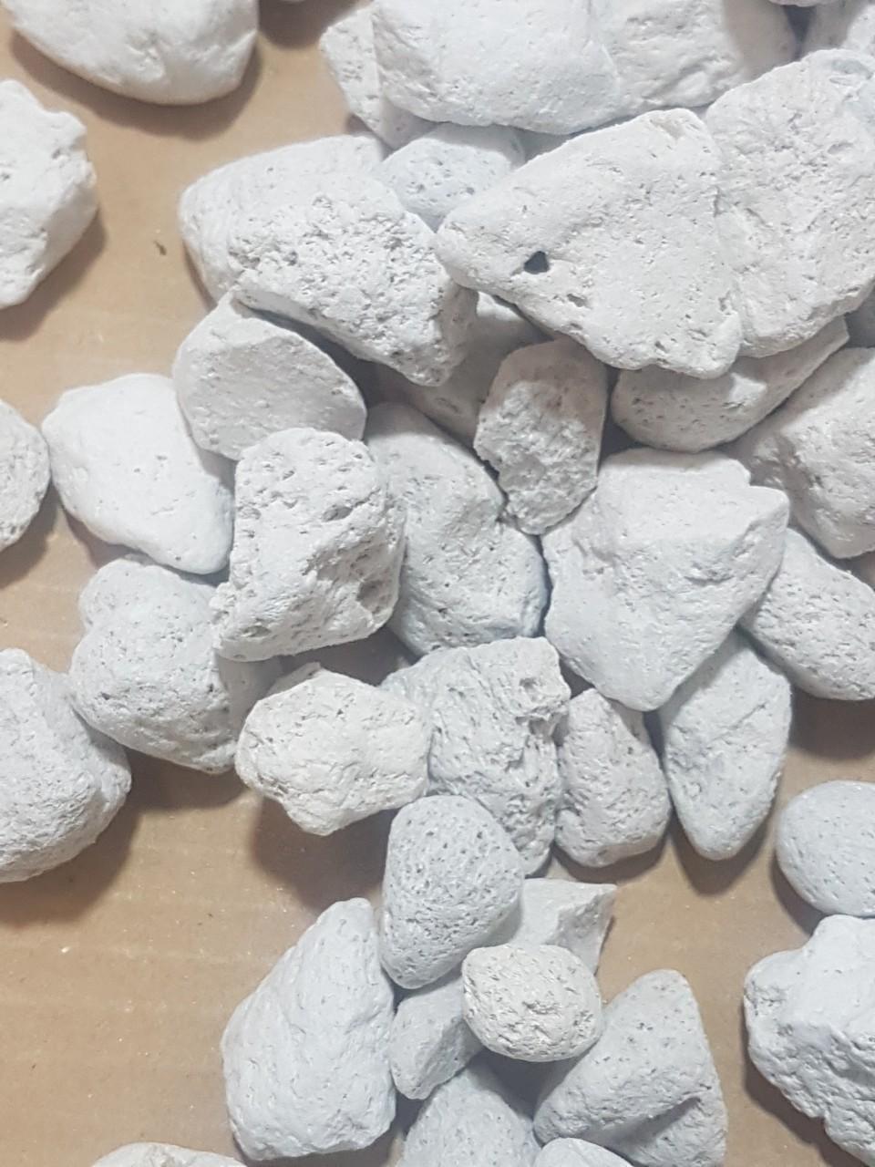Đá Pumice (đá bọt núi lửa) trồng lan thoát nước giữ ẩm tốt