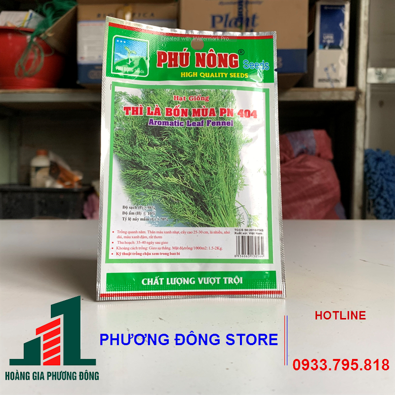Hạt giống rau thì là - gói 5g