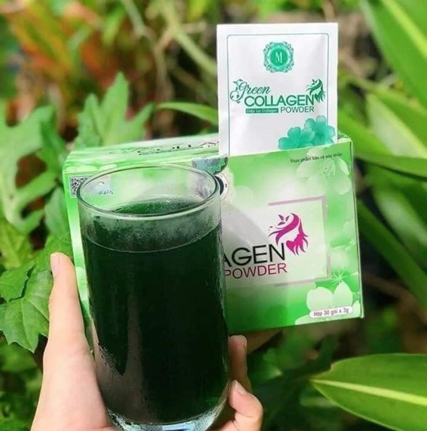 [HCM]Diệp lục Collagen