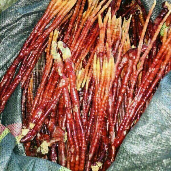 500g nấm sừng hươu