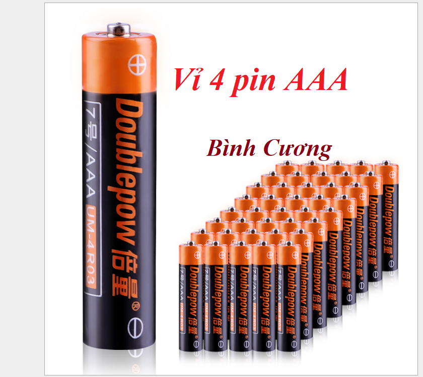 Bộ 4 viên pin đũa Doublepow AAA
