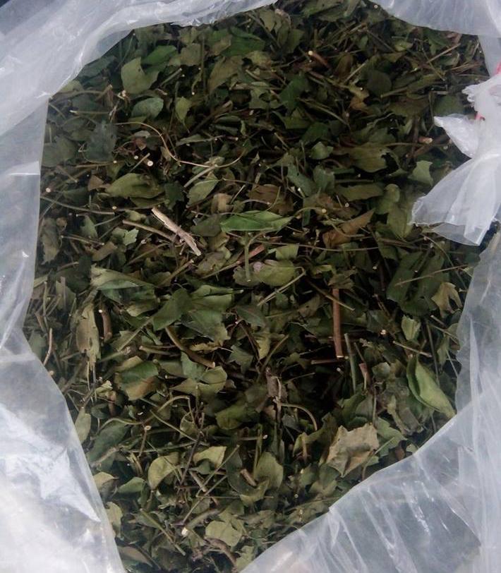 [HCM]Chè vằng lá nhỏ khô 1kg - chè núi thơm ngon