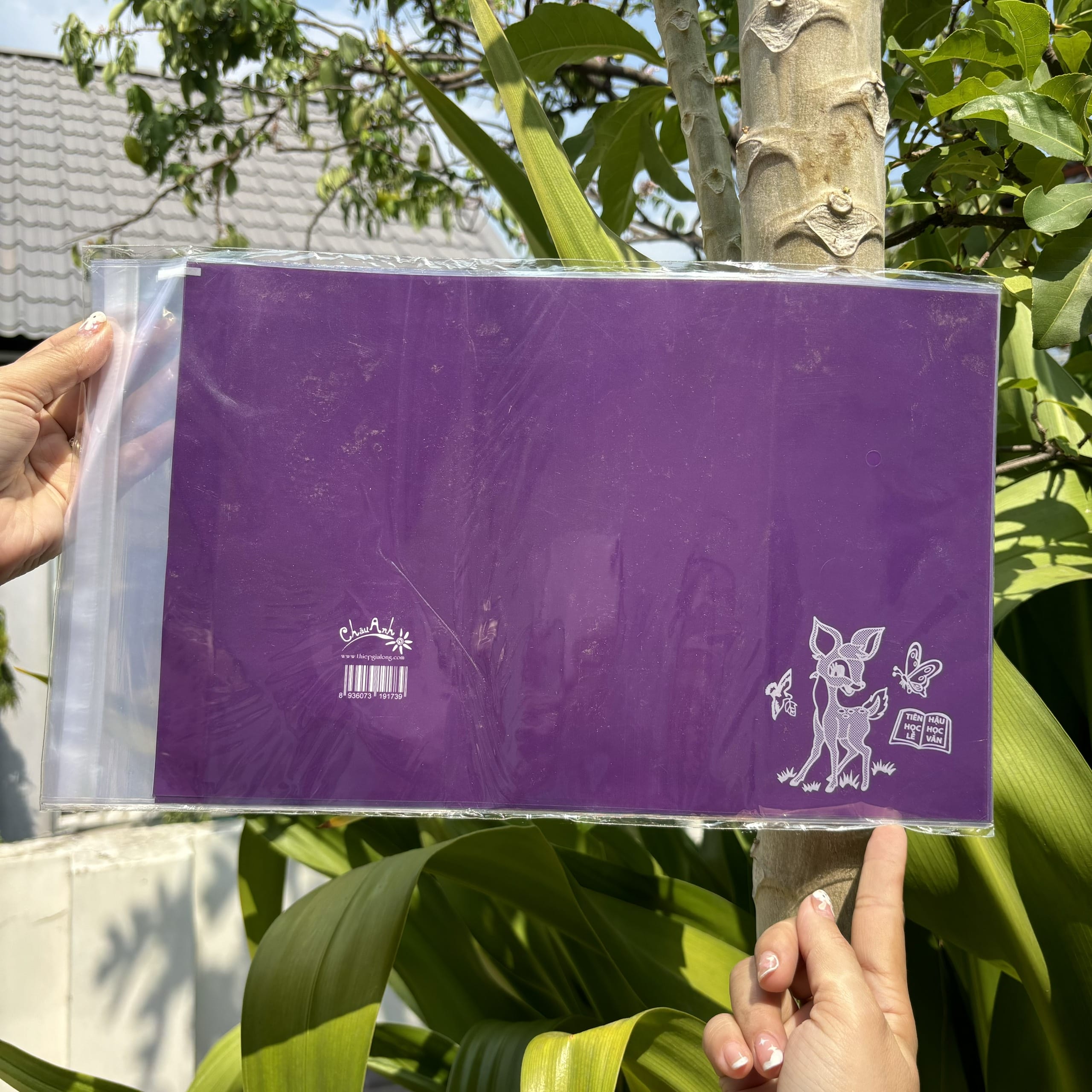 COMBO 10 tờ bao tập nilon giấy màu thủ công (15.5x20.5cm)