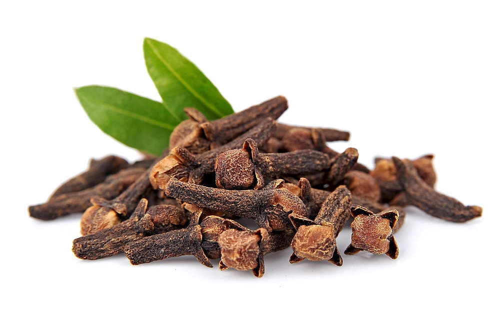 [HOT] Bột đình hương 500g cao cấp - Thảo Dược Tấn Phát