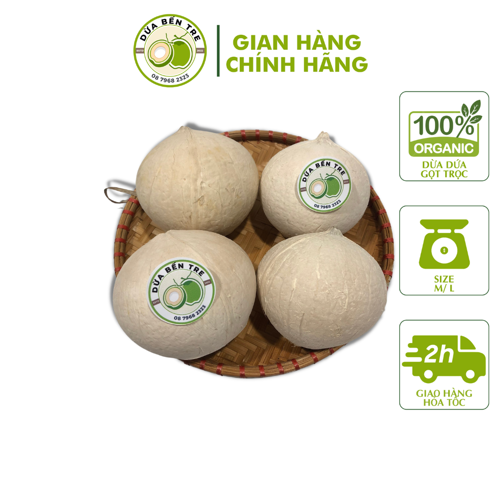 [HCM - HỎA TỐC] COMBO 20 TRÁI DỪA BẾN TRE GỌT TRỌC