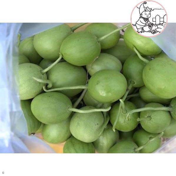 Hạt dưa hấu nụ, dưa canh - gói 5 gram