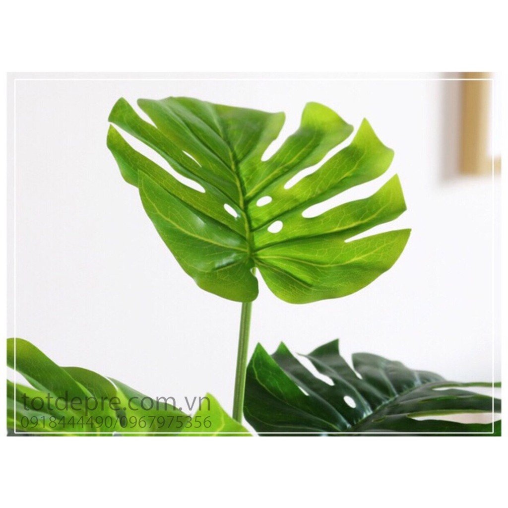 Cây Lá Rùa DECOR cỡ lớn - Cây giả cao cấp