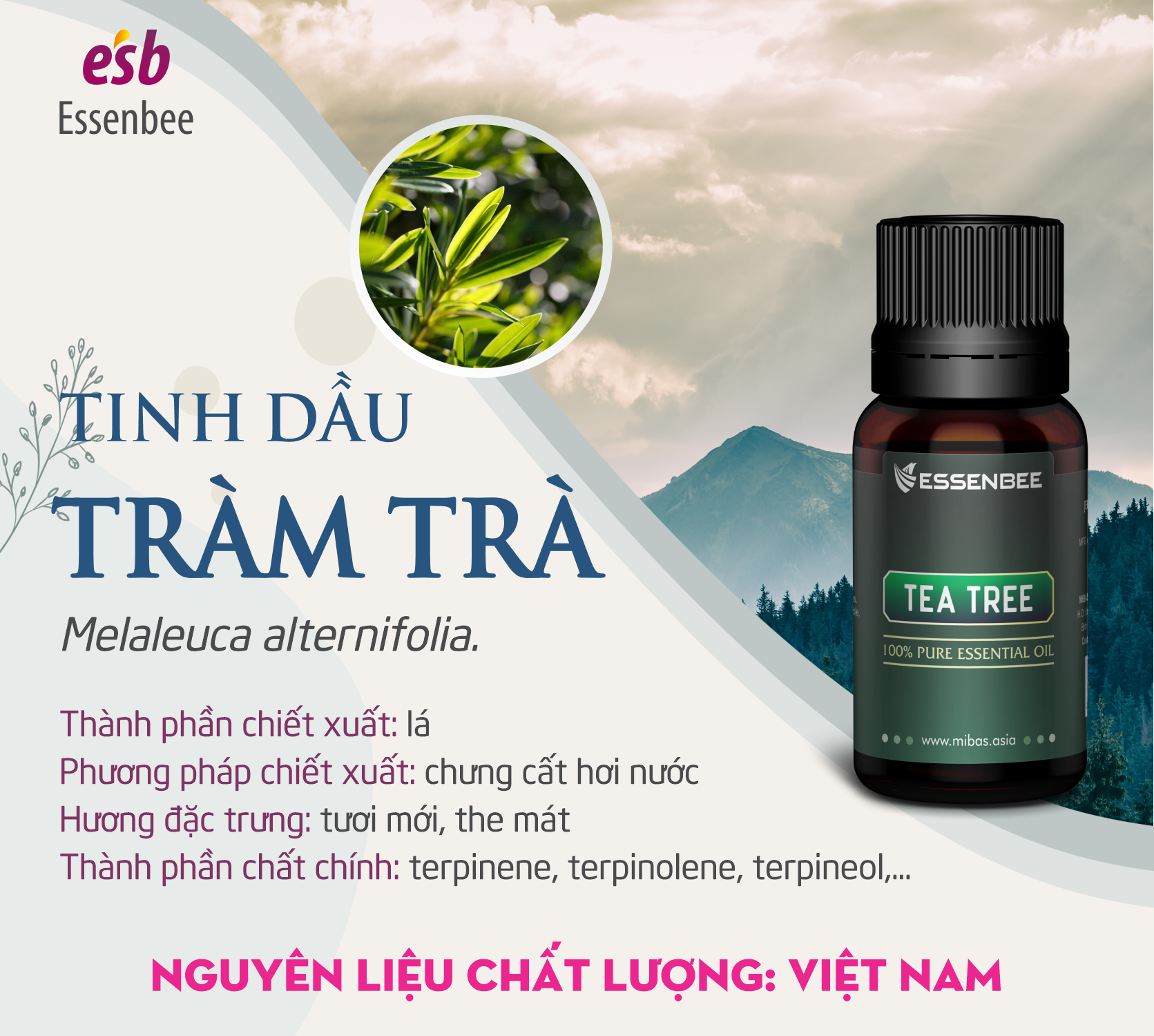 Tinh dầu Tràm Trà (Tea Tree) Essenbee - 10ml