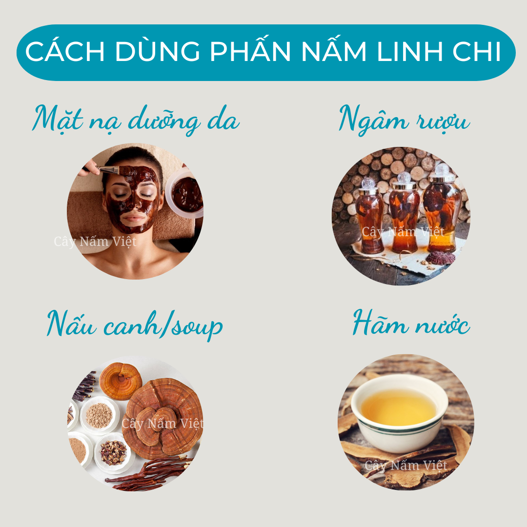 Bào tử nấm linh chi đỏ 100g CNV