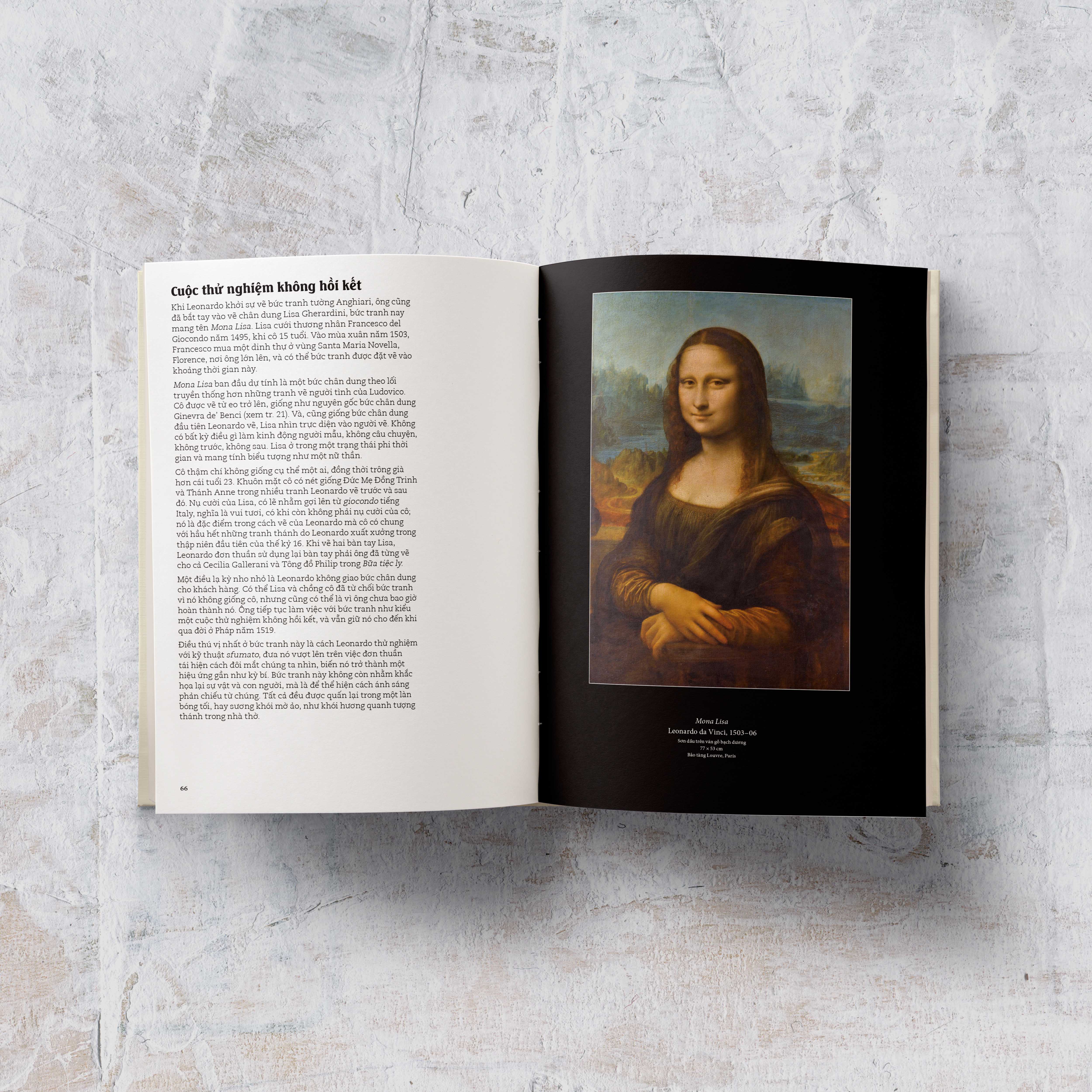 Cá Chép - Đây Là Leonardo Da Vinci