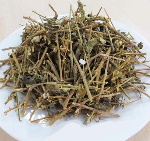 Trà Cà Gai Leo khô Tự Nhiên (100g)