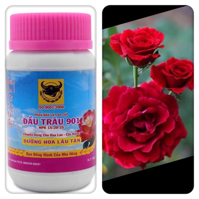 Phân bón lá Đầu trâu MK 901 100gram - Phân bón chuyên hoa lan, cây kiểng dưỡng hoa lâu tàn