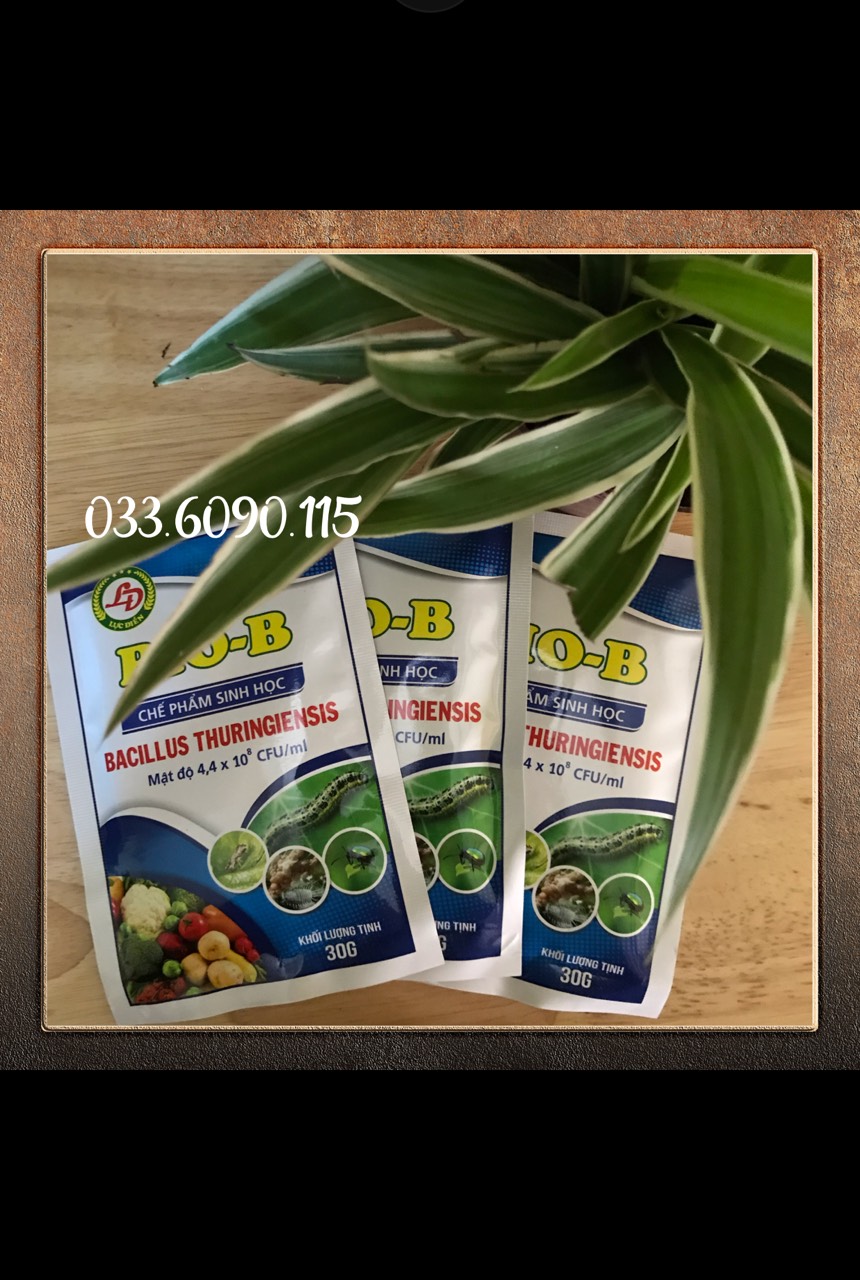 3 gói chế Phẩm sinh học Bio-B 30g/ gói