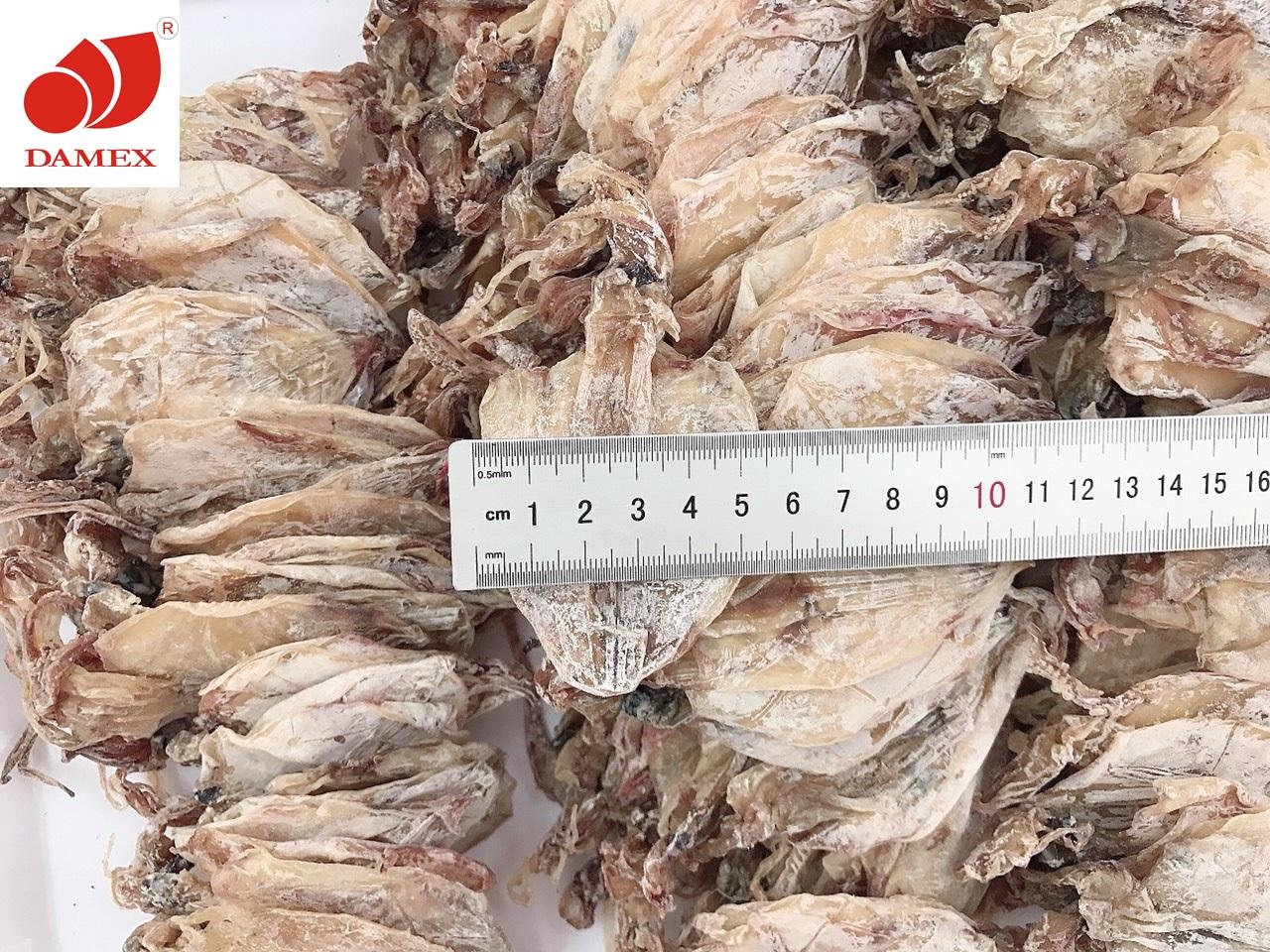 Khô mực Damex size Mini Bình Định. -  Combo 39 con.
