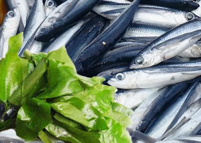 1kg CÁ CHUỒN MÍT KHÔ ĐẶC SẢN ĐÀ NẴNG - siêu ngon