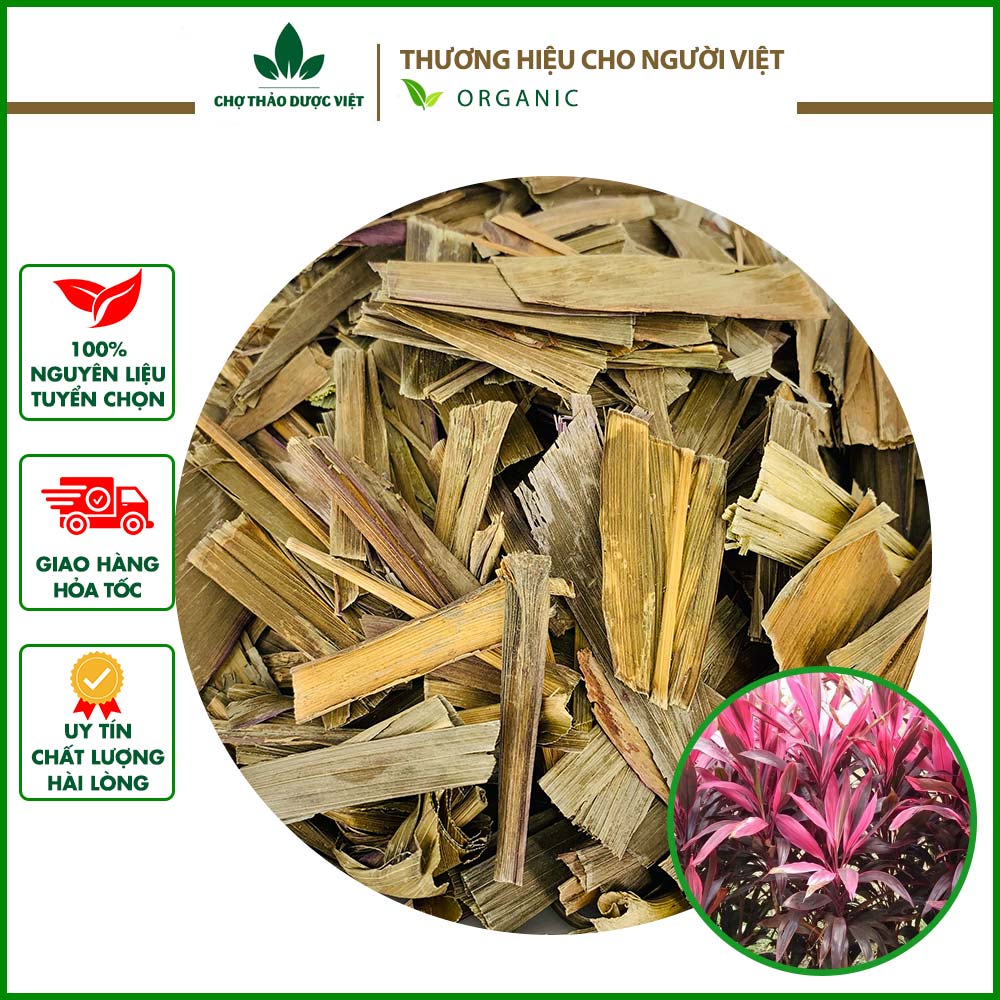 500gr lá huyết dụ |khô, sạch