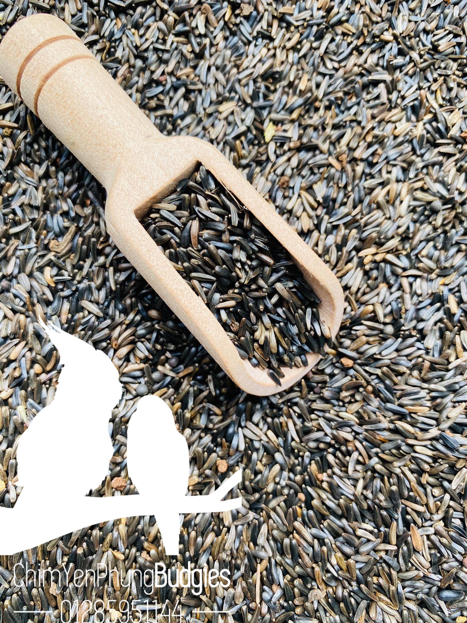 500gram hạt Niger (Niger Seed) cho Yến Hót, Chim Cảnh.