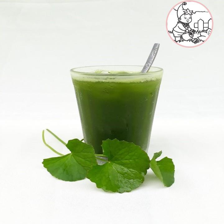 HẠT RAU MÁ - GÓI 1 GRAM