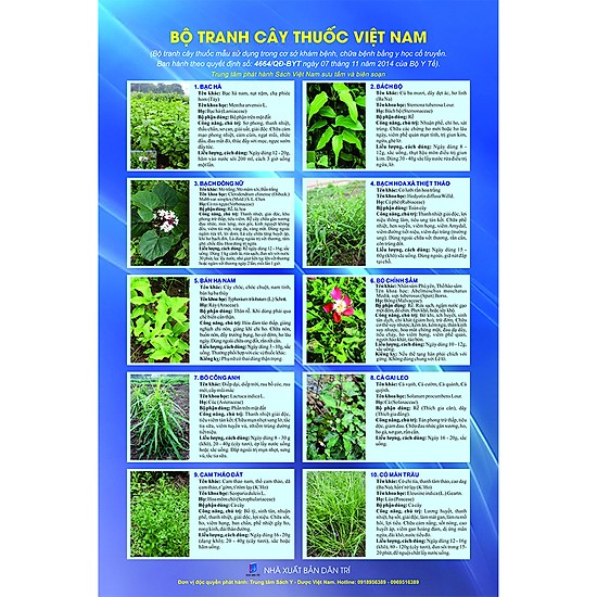 Bộ tranh cây thuôc mẫu (Theo thông tư 4664/TT/BYT của Bộ Y tế)