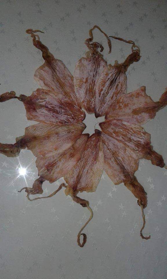 10 con mực khô ngon
