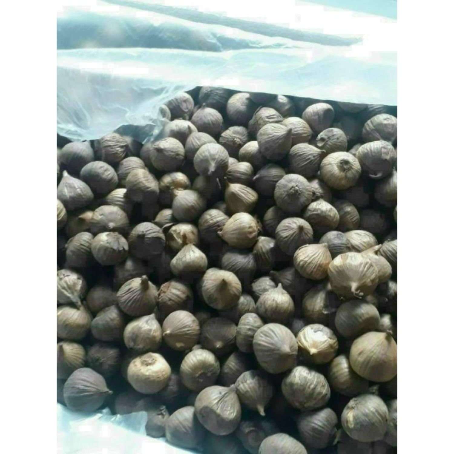 Tỏi đen cô đơn lᴏại 1