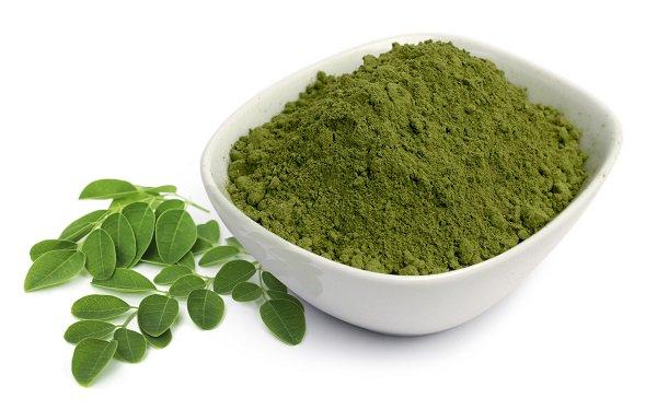 Hạt giống Chùm Ngây RD 03 - 2g