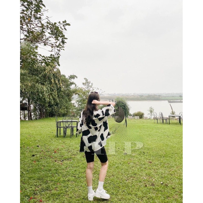 Sét áo bò sữa + quần legging lửng