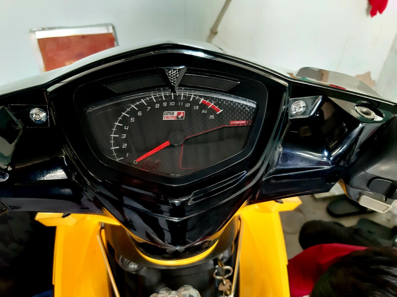 [HCM]ốc áo salaya ex nhỏ