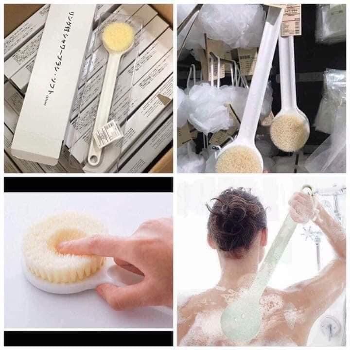 CÂY CHÀ LƯNG, CỌ CHÀ LƯNG MUJI NHẬT BẢN