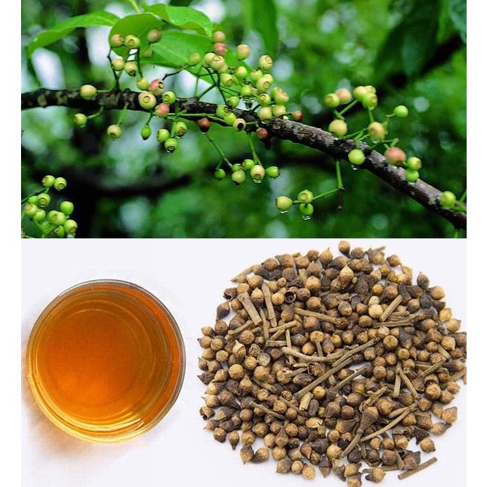 Nụ vối khô [GÓI 500G] Loại thượng hạng