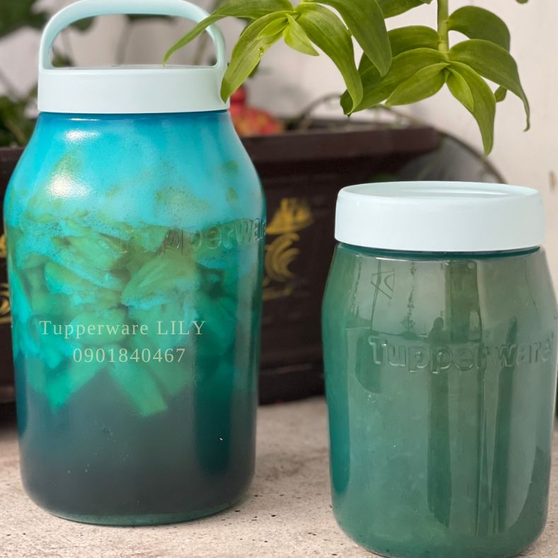 BỘ HỘP NGÂM UNIVERSAL JAR 2 HỘP - TupperwareLiLy