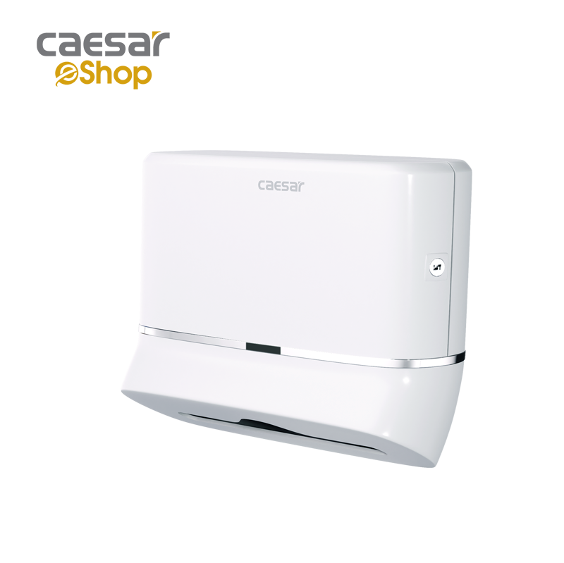 Toilet Paper Box - H101