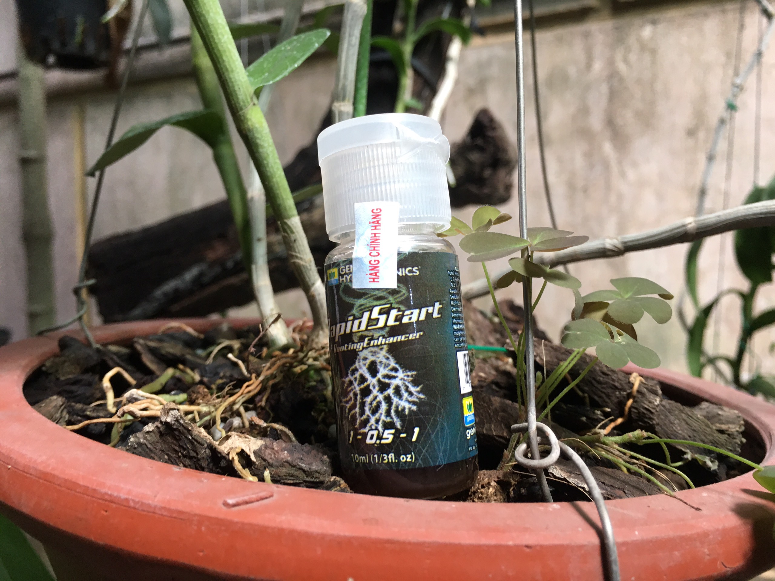 Phân bón kích rễ General Hydroponics Rapid Start hũ 30ml Mỹ
