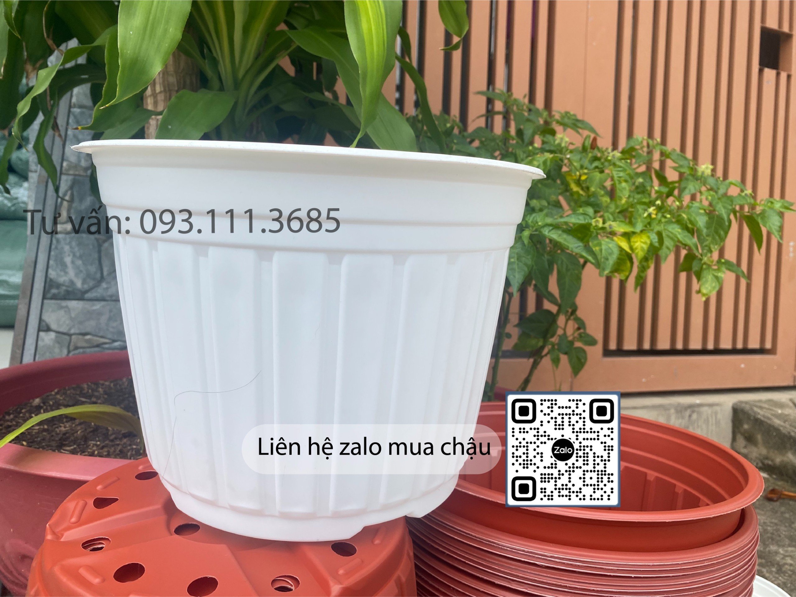 Combo 50chậu nhựa có vành miệng 30cm - Chậu trồng vạn thọ 3 -5 gốc, chậu trồng hoa cúc tết