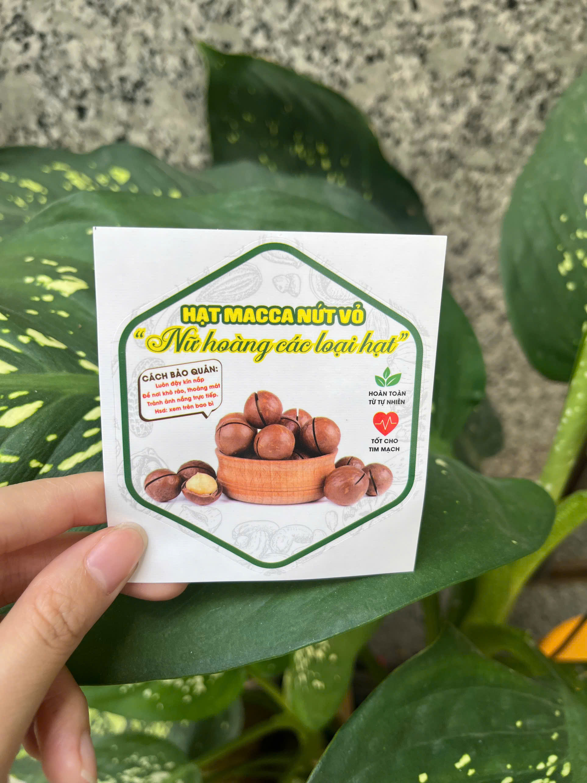 55 tem lục giác 7x8cm - Hạt Macca nứt vỏ