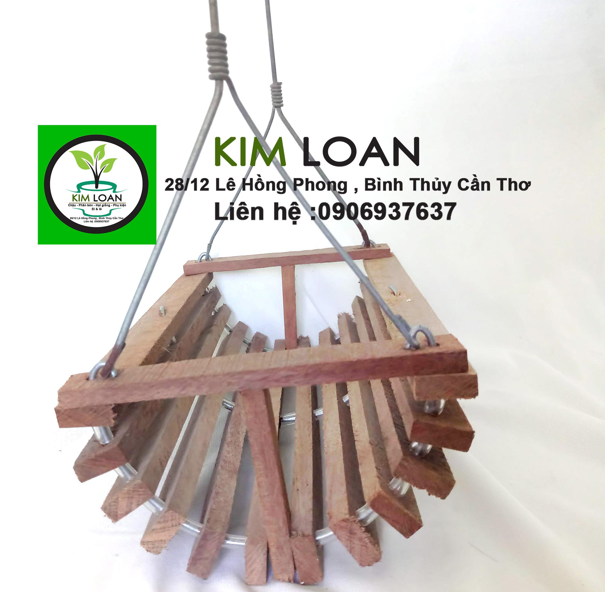 Chậu lan gỗ xích đu 27x16x8cm