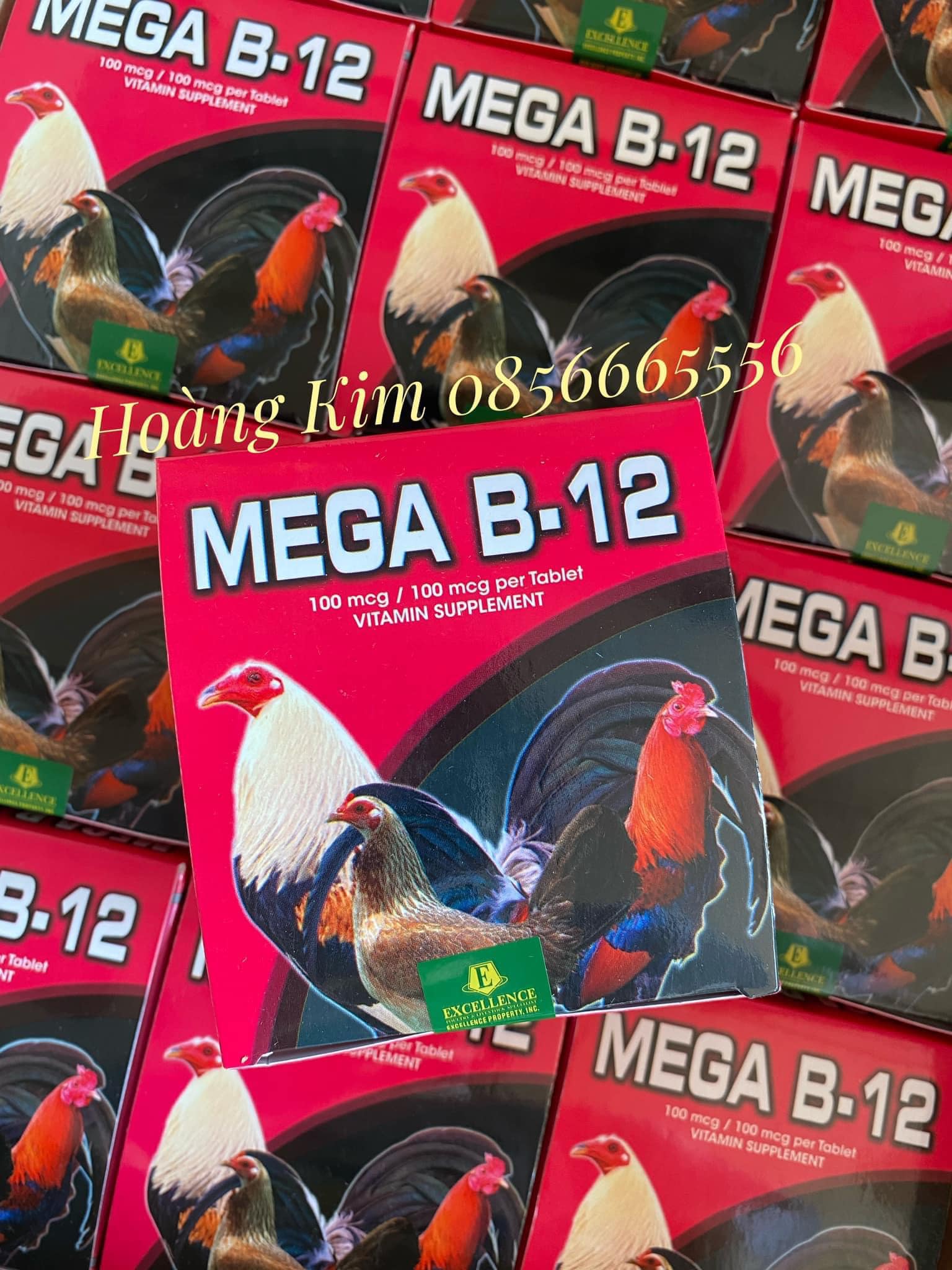 MEGA B12 - Tăng nước máu cho gà dạng viên