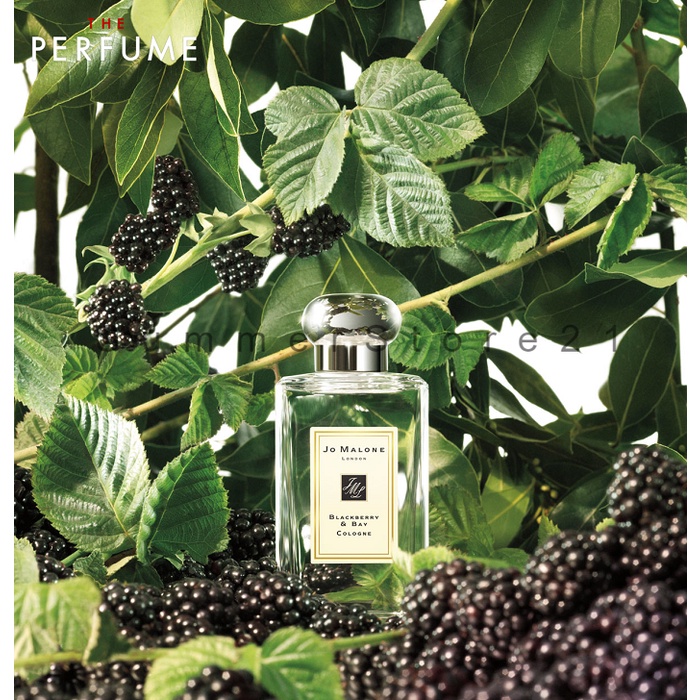[ᴛᴇsᴛᴇʀ] Nước hoa Jo Malone Blackberry & Bay - 5𝘮𝘭/10𝘮𝘭