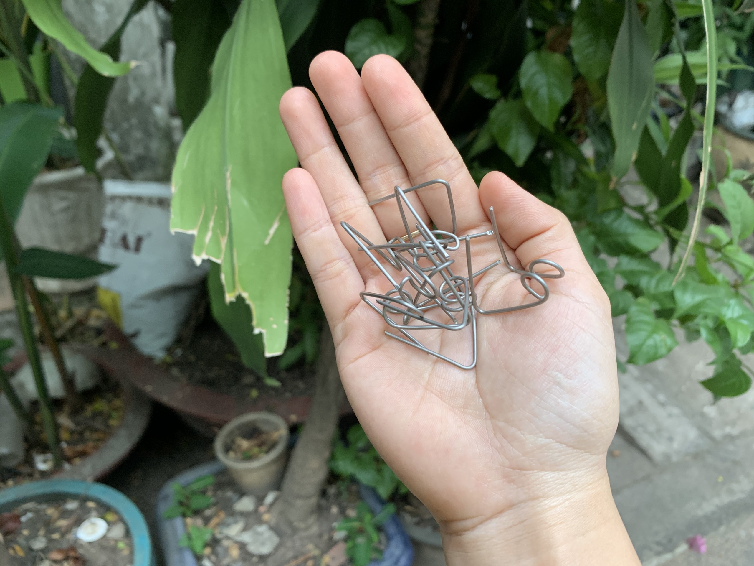 [HCM]PHE CÀI GIỮ BỐ CHO HEO BREM