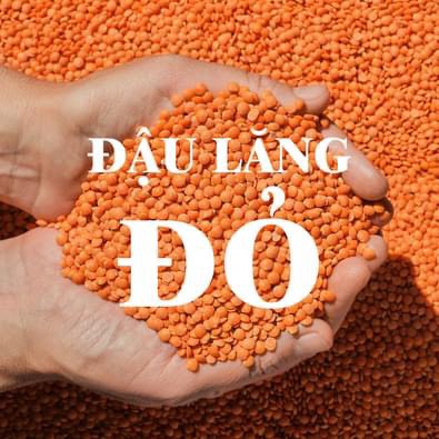 [HCM]Đậu lăng đỏ hữu cơ Sotto 500g