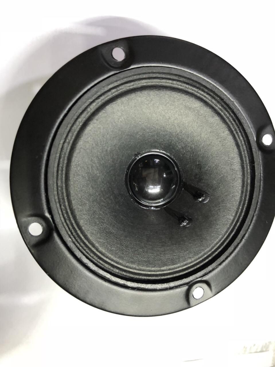 Cặp loa Treble đường kính 10cm 2 từ