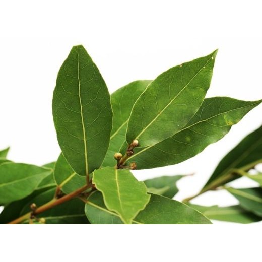 LÁ NGUYỆT QUẾ (LÁ THƠM, BAY LEAF) (200g hút chân không)
