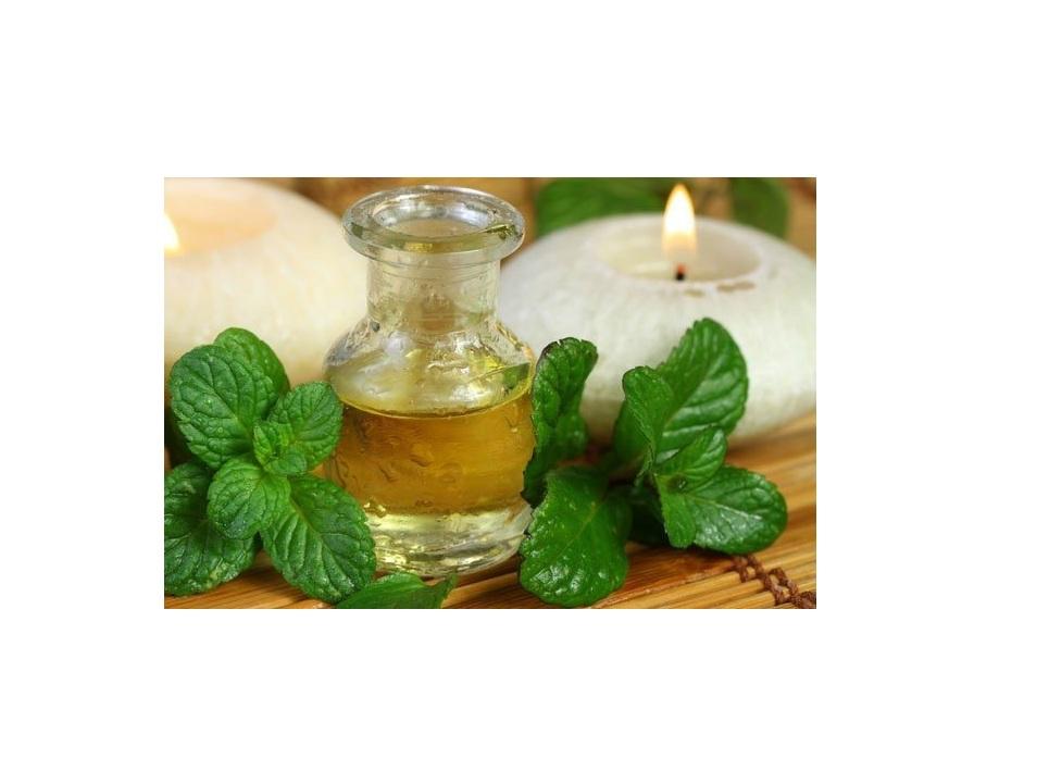 Tinh dầu Bạc Hà tự nhiên lọ 20ml