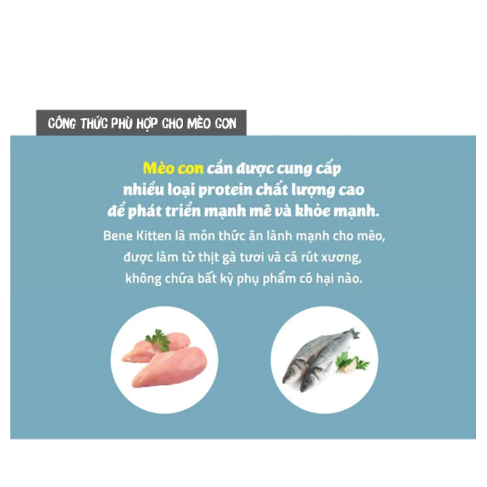 [400gr] Thức ăn cho mèo Natural core kitten C1
