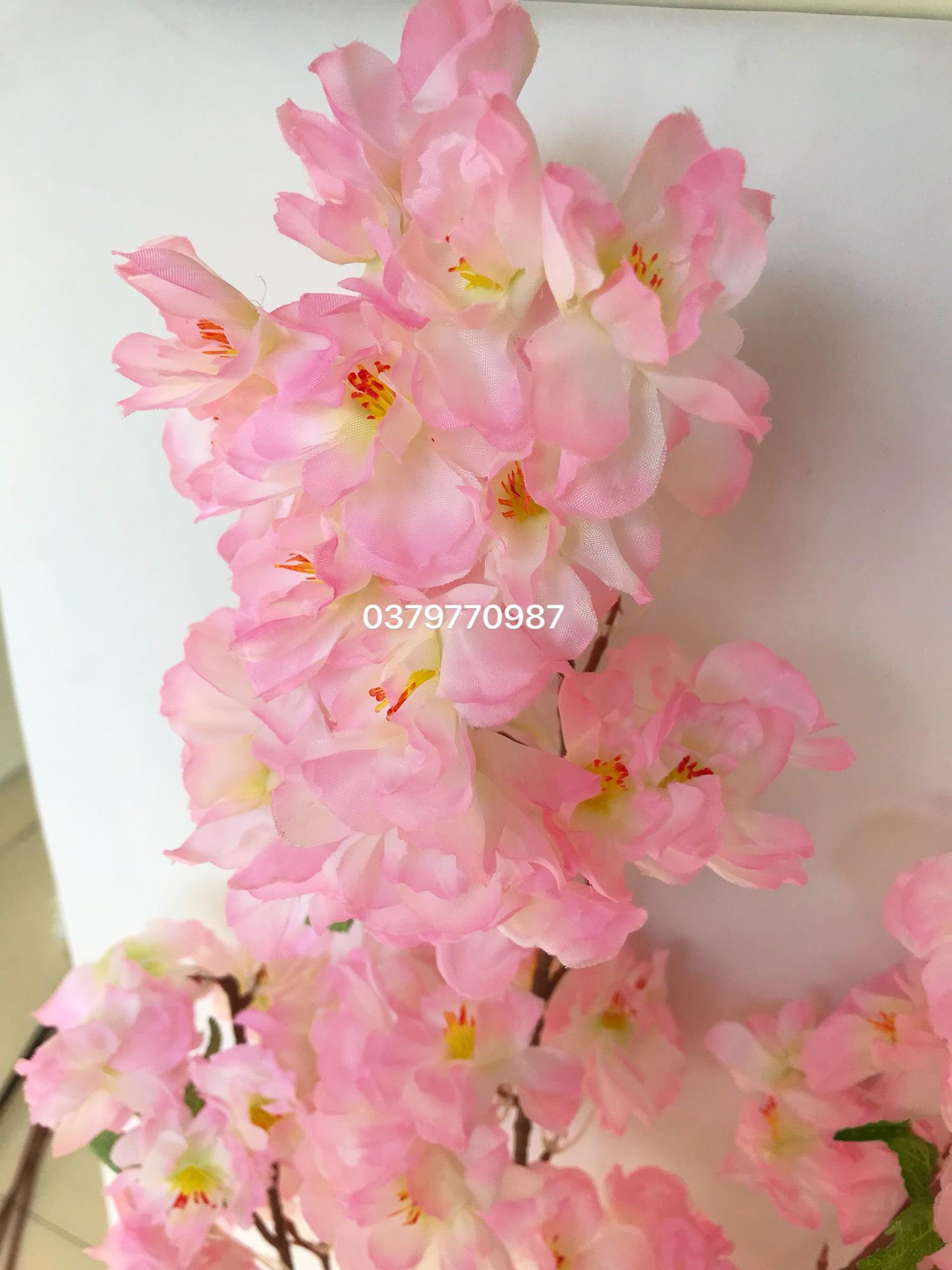 Set 5 cành Hoa Anh đào lụa độ dài 80cm hàng đẹp