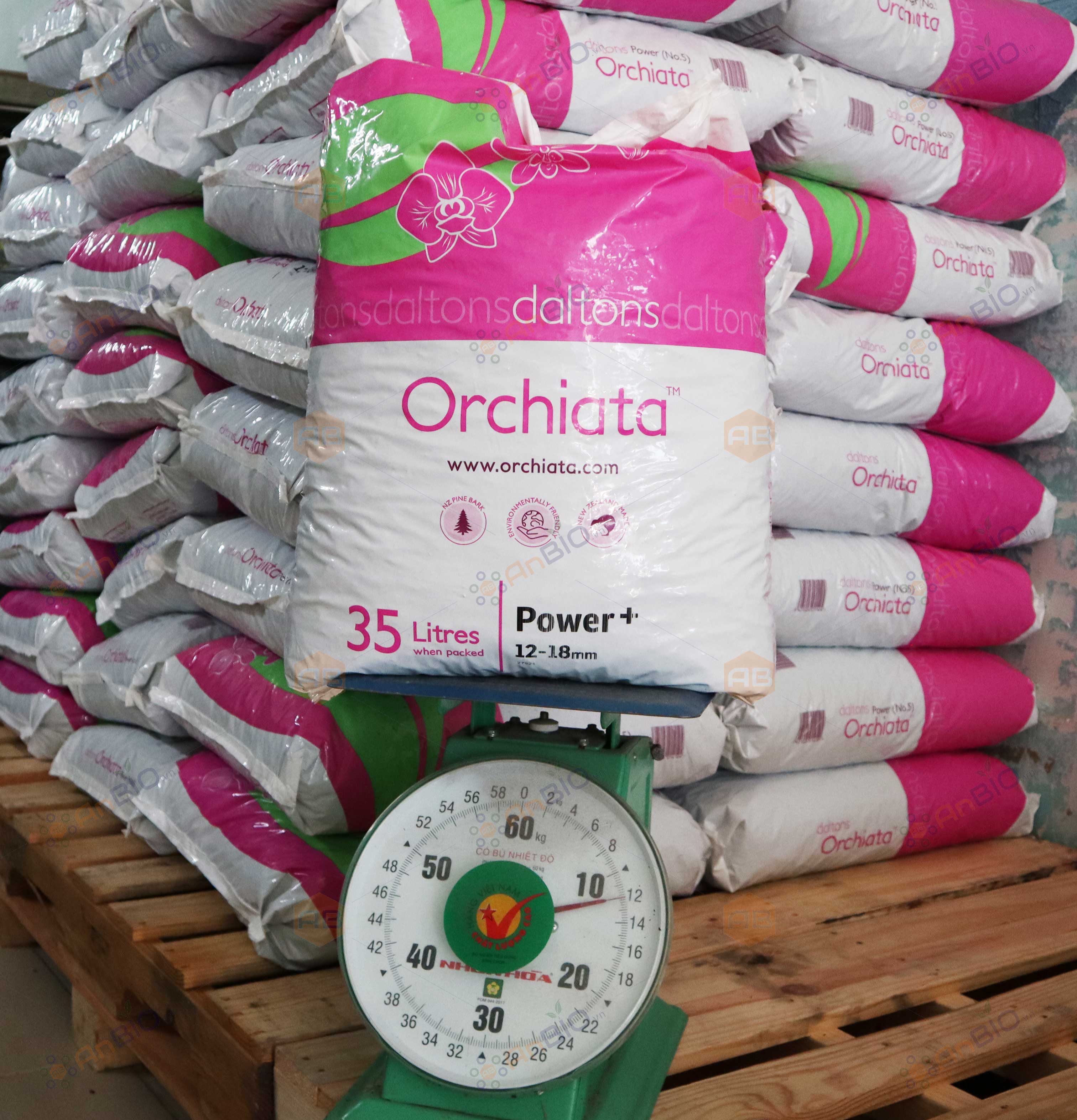 VỎ THÔNG ORCHIATA (Size 9-12mm) - Gói 1L