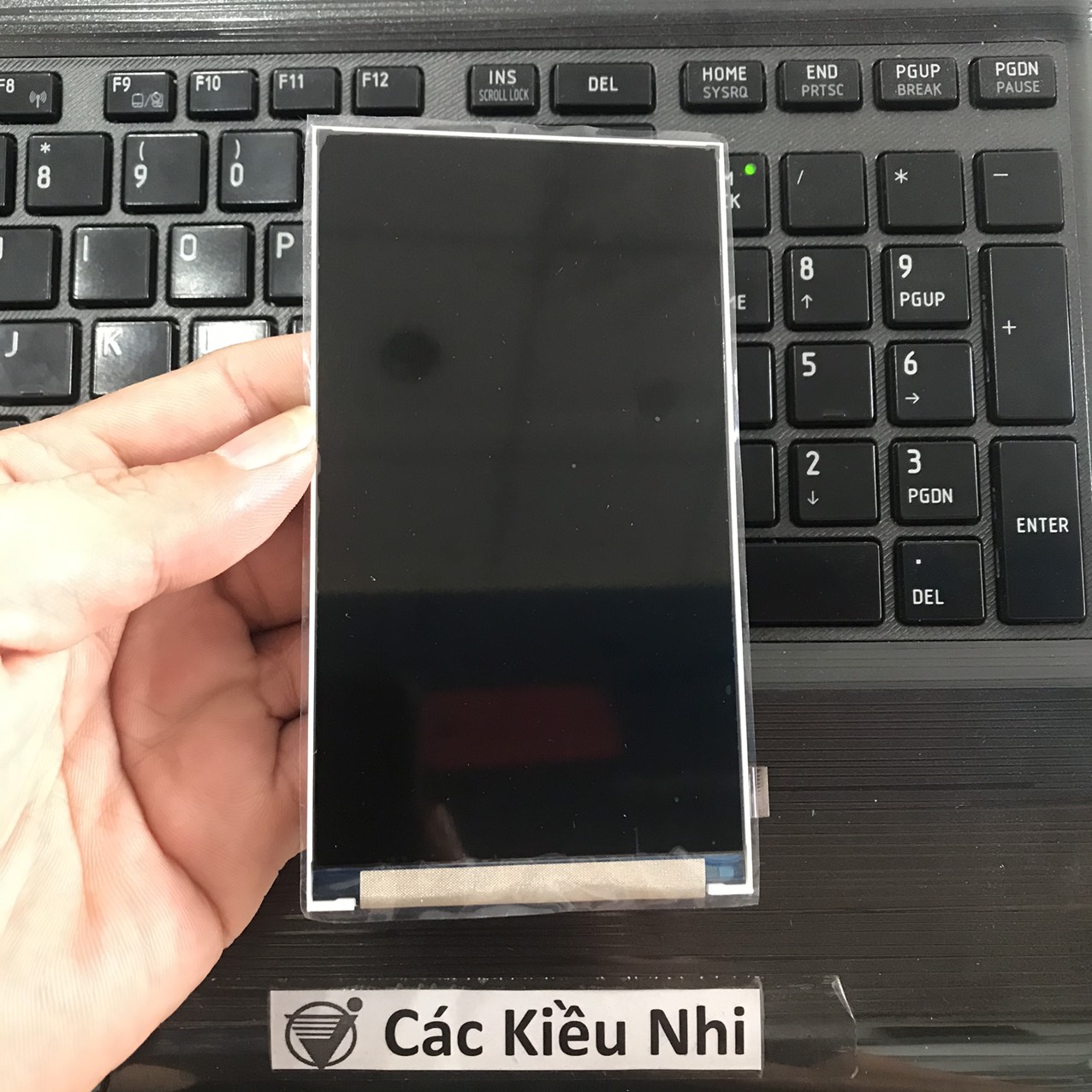 Màn hình	Itel	Alpha Lite | W5008	LCD rời