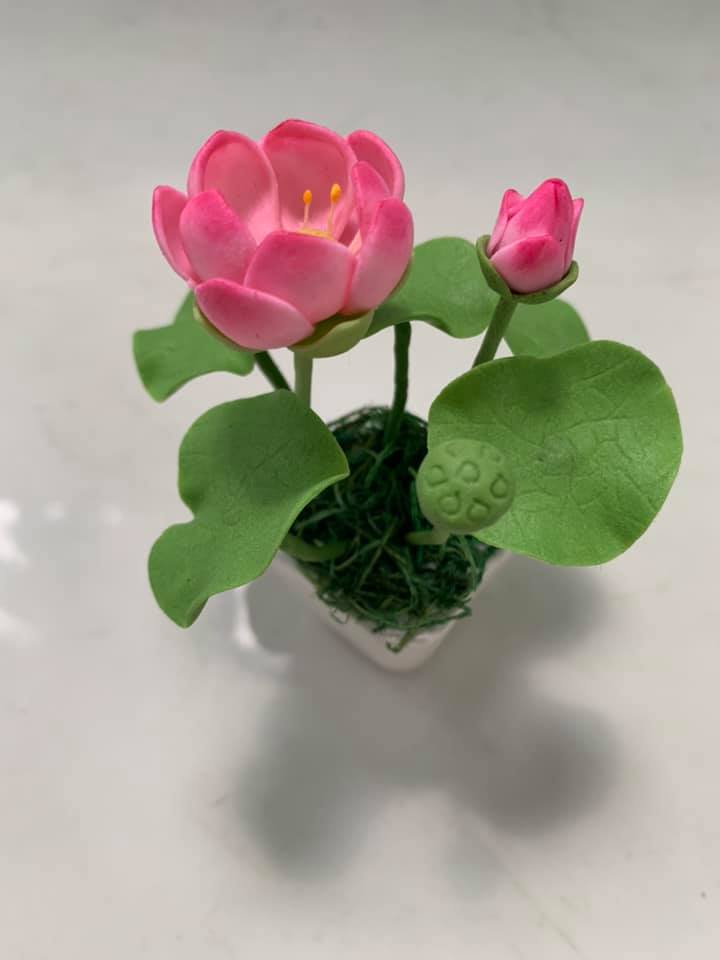 Chậu hoa đất sét mini