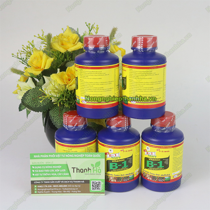 Phân bón kích rễ Vitamin B1 Thái Lan 100ml - T162